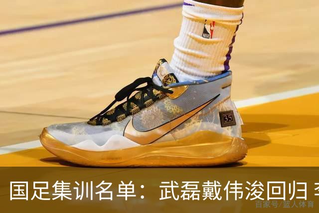 国足集训名单：武磊戴伟浚回归 李昊首次入围