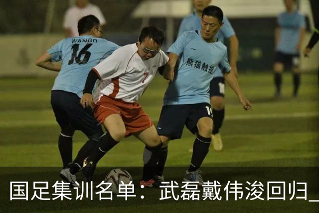 国足集训名单：武磊戴伟浚回归 李昊首次入围