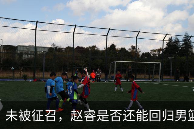 未被征召，赵睿是否还能回归男篮？郭士强的选择曝光，周琦回归成定局