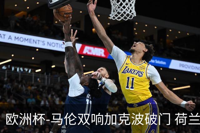 欧洲杯-马伦双响加克波破门 荷兰3-0罗马尼亚