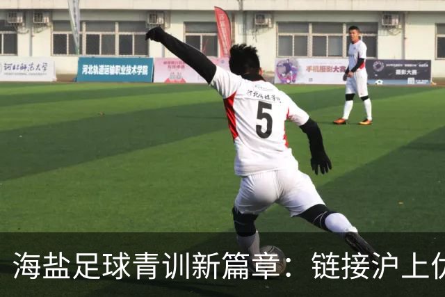 海盐足球青训新篇章：链接沪上优质资源，助力少年梦想
