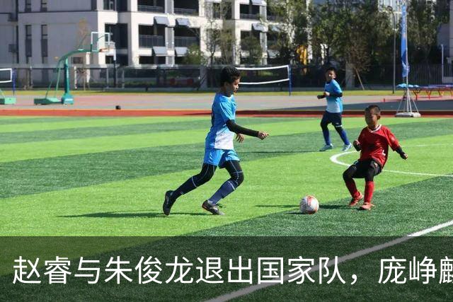 赵睿与朱俊龙退出国家队，庞峥麟迎来新机会，林葳三大短板分析