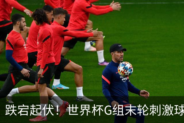 跌宕起伏！世界杯G组末轮刺激球迷心脏 伊朗狂喜过后遭打击