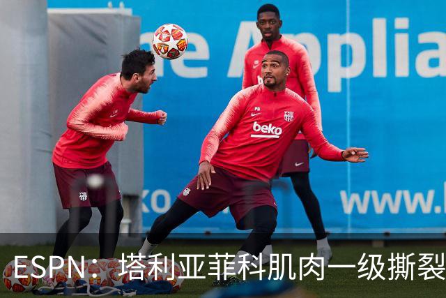 ESPN：塔利亚菲科肌肉一级撕裂，至少缺席世界杯前两场小组赛
